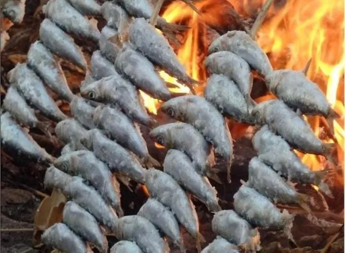 別荘 Casa Delfina エステポナ