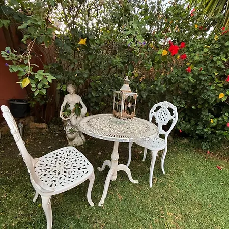 Casa Delfina * אסטפונה